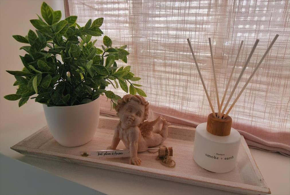 Appartement Charmant Et Spacieux Auxerre Luaran gambar