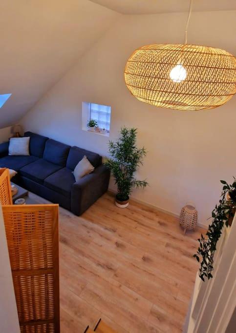 Appartement Charmant Et Spacieux Auxerre Luaran gambar